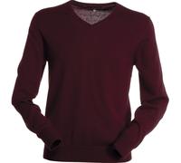 MAGLIONCINO IN COTONE PAYPER BUSINESS MAGLIA COLLO A V MANICA LUNGA UOMO