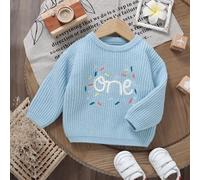 Maglione azzurro cielo ricamato per bambino, girocollo, maniche lunghe, design minimalista versatile, maglione lavorato a maglia azzurro neonato per primo compleanno, maglione neonato di un anno, magl