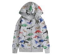 Maglione con Cappuccio da Ragazzo Felpa con Cappuccio da Ragazzo e Bambino Felpa a Maniche Lunghe Abbigliamento novità Abbigliamento Sportivo Casual Maglioni Casual in Cotone