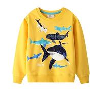 Maglione con Cappuccio da Ragazzo Felpe Maglione da Ragazzo Giacca Sportiva con Cerniera Felpe Pullover per Adolescenti Inverno Caldo Chic Economico Maglioni Sportivi in Cotone Felpa per 1-8 Anni
