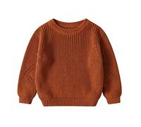 Maglione Ragazzo - Infantile Bambino Bambino della Ragazza Ragazzo Maglia Maglione Camicetta Pullover Felpa Girocollo Manica Lunga Magliette e Camicette Autunno Inverno (Brown 12-18 Months)
