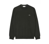 Lacoste Pullover girocollo in lana Verde-YZP da Uomo V / L Green