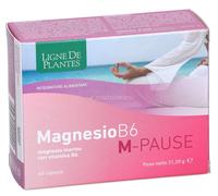 MAGNESIO B6 M PAUSE 60 CAPSULE