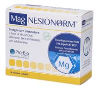 Magnesionorm 14 Bustine 84 g Polvere per soluzione orale