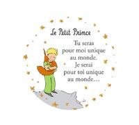Magnet Petit Prince, motivo piccolo principe in piedi che stringe affettuosamente la sua volpe, misura 5,5 cm