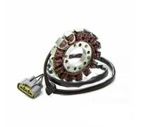 MAGNETE ACCENSIONE BMW S1000RR K46 Statore Bobina/Alternatore 2017 2018
