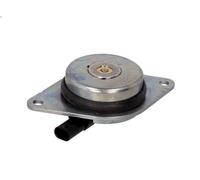 Magnete centrale, regolazione albero a camme INA 427 0018 10 per ADAM 1.2 2012-