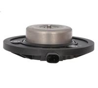 Magnete centrale, regolazione albero a camme INA 427 0170 10 ARTEON 2 2017-2021