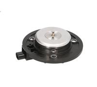 Magnete centrale, regolazione albero a camme PIERBURG 7.06117.26. per A3 2 2004-