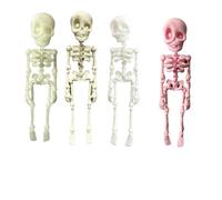 Magnete da frigorifero con scheletro articolato stampato in 3D di Halloween, con giunti mobili, per cucina, ufficio o armadietto, decorazione (verde, osso, bianco, rosa)