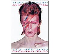 Magnete frigo David Bowie Aladdin Sane (nm)