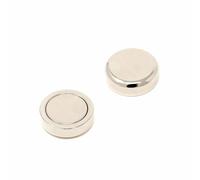Magnete In Pot Di Neodimio N42 Da 25Mm (Confezione Da 20)