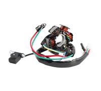 MAGNETE STATORE 6 POLI PER PEUGEOT BUXY SQUAB TREKKER SPEEDFIGHT SPEEDDAKE 50 L3