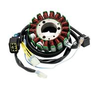 Magnete Statore Generatore Per Herkules / Adly Hurricane 500S 450 Sm Atv Quad UK
