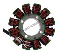 MAGNETE STATORE PER 70W KTM SX-F/XC-F 250/350/450 11>15 RM STATOR RMS010-107564