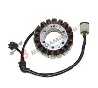 MAGNETE STATORE PER APRILIA RSV 1000 / MILLE R 99>04 ELECTROSPORT ESG922