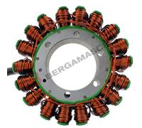 MAGNETE STATORE PER HONDA REBEL 500 17>19 RM STATOR RMS010-107430