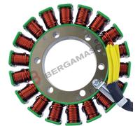 MAGNETE STATORE PER SUZUKI BURGMAN 650 13>17 RM STATOR RMS010-107591