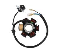 Magnete Statore Pole 6 Bobina Per GY6 125cc 150cc Motorino Atv