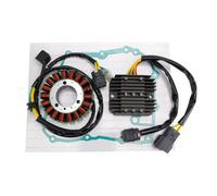 Magnete Statore Regolatore Guarnizione Kit Per TGB Atv Lama 250 325 Target 325