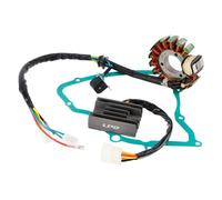 Magnete Statore Regolatore Kit Guarnizioni per Suzuki Ltf Lt-F 160 Quadrunner