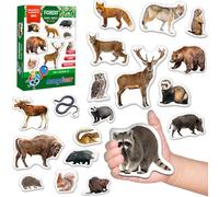 Magneti Animali Foresta Bambini - 20 Figure Realistiche Grande Formato - Gioco Educativo Montessori - Attività Sensoriale Prescolare Aula Scuola - Regalo Bambini - Magdum