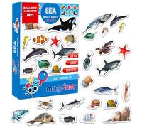 Magneti bambini MAGDUM Animali Marini FOTO -30 GRANDI calamite frigorifero - Giochi educativi - Giochi bambini 3 anni - Giochi animali bambini 3 anni - Giochi magnetici per bambini - Calamite bambini