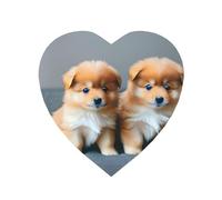 Magneti da frigorifero con stampa di cuccioli di Pomerania e punto 1, resistenti, per cucina, lavagna, ufficio, armadietto