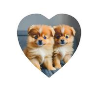 Magneti da frigorifero con stampa di cuccioli di Pomerania, resistenti, per cucina, lavagna, ufficio, armadietto
