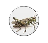 Magneti da frigorifero impermeabili e resistenti, piccoli e resistenti, con cavalletta, retrò, graziosi accessori per armadietti, mini magneti decorativi per lavagna, ufficio, cucina