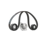 MAGNETI MARELLI 132011160064 Kit cinghia distribuzione, pompa acqua