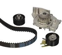 Magneti Marelli 1609525480 Kit Cinghie di Distribuzione con Pompa d'Acqua | Compatibile con: CITROËN C4 Coupe, C4 I, C5 II, C5 II Break, C5 III, C5 III Break, C8, JUMPY II, JUMPY II Kasten