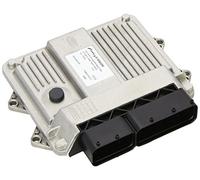 Magneti Marelli 217160001908 - Centralina, Gestione Motore