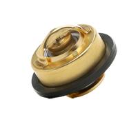 MAGNETI MARELLI 352317101360 Termostato motore