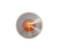 Magneti Marelli 46522717 Indicatore Direzione Laterale, Destro/Sinistro