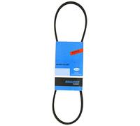 Magneti Marelli 4K0830ELAST Cinghia