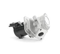 Magneti Marelli 571822112029 Valvola EGR Citroen, Ford, Peugeo