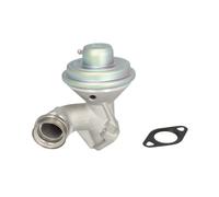 Magneti Marelli 571822112100 Valvola EGR Ford, Peugeot