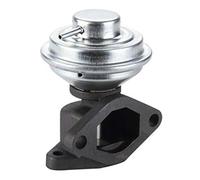 Magneti Marelli 571822112107 Valvola EGR Ford
