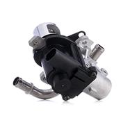 Magneti Marelli Valvola EGR 571822112127 – Compatibile con Dacia, Nissan e Renault Clio IV