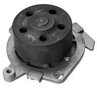 Magneti Marelli 60608898 Pompa Acqua
