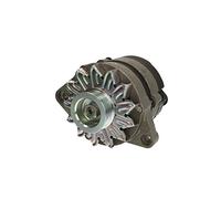MAGNETI MARELLI 063321156010 Alternatore