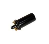 Bobina di accensione MAGNETI MARELLI 060717056012