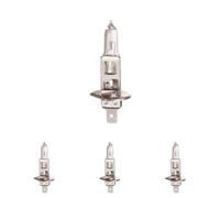 Magneti Marelli Lampada H1 24V 70W, Standard, 24V (Confezione da 4)