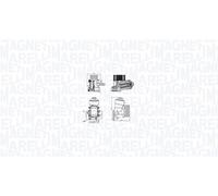 MAGNETI MARELLI Radiatore Olio Adatto Per VW Passat Variant 365 2.0 TDI 1.6 3C5