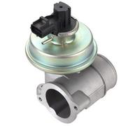 MAGNETI MARELLI Valvola EGR FORD 2,0 2,2 1446266 JDE7436 4S7Q-9D475-KD