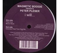 Magnetic Boogie - I Will...