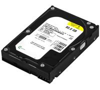 Magnetic Data Technologies Mdt 80GB 7200U/Min 8MB Ata Ide MD00800-BABW 3.5 "