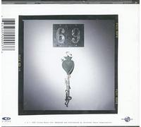 Magnetic Fields,the - 69 Love Songs