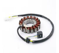 magnetico bobina statore motore Bobina statore generatore magnete da 104mm per Scooter Majesty YP250 Linhai VOG 250 257 260 300 LH170MM EOLO BMS 260 Diamo 257